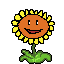sunflower up