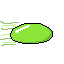 pea flying