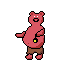 pig