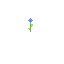 fleur