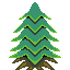 sapin