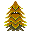 sapin orange