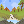 bubbling stream