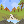 bubbling stream