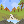 bubbling stream