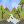 bubbling stream final