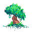 twisty tree