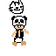 panda toad