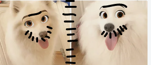 i also don t know what the name is jerk to blame peggle vb
