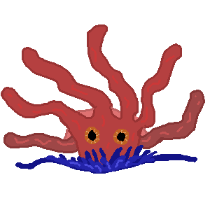 kraken