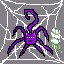 spider cat