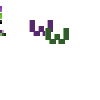 ww