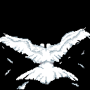 jian bird