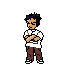 brock
