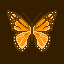 butterfly orange