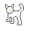 cat practice