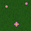 grass with flowers