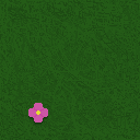 grass