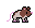 dumbo rat