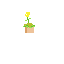 flower boy will finish later