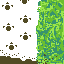 pawprints