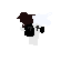 ranboob