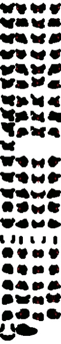 male body 1