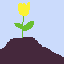 soil