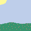 a field