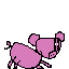 pig 01