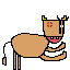 cow angry