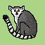 lemur