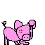 pig angry