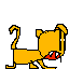 cougar
