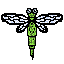 dragonfly