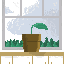 plantinha