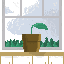 plantinha