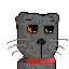 save