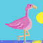 flamingo