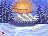 winter evergreens