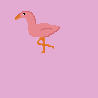 flamingo