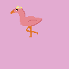 king flamingo