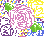 roses