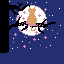 moonlight blossom