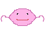 axolotl