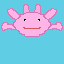 axolotl