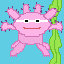 axolotl with clout goggles