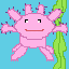 axolotl