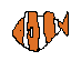 clownfish