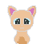 cute kitty